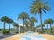 Tropicana Field Entrance Lined With Palm Trees