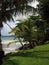 Tropics scene of Long Bay harbor beach tropical trees Big Corn