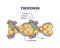 Troponin complex and three regulatory proteins structure outline diagram