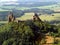 Trosky castle - air photo