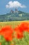 Trosky castle with common poppy in Bohemian Paradise