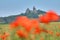 Trosky castle with common poppy in Bohemian Paradise