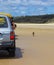 trourist taking pictures of a Dingo out of the car, on the beach in Great Sandy National Park, Fraser Island Waddy Point, QLD,