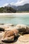 Trousers Point, Flinders Island, Tasmania, Australia