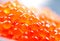 Trout caviar closeup