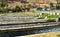 Trout fish farm at Ingenio in Junin, Peru