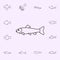 trout icon. Fish icons universal set for web and mobile