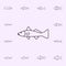 trout icon. Fish icons universal set for web and mobile