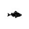 trout icon. Fish and sea products elements.