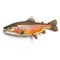 Trout isolated on white created with Generative AI