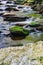 Trout Stream in the Blue Ridge Mountains