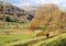 The Troutbeck Valley.