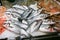 Trouts for sale at Rialto market in Venice