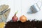 Trowel, hand fork, hoe fork, gardening glove and onion pot plant on wooden background