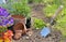 Trowel planting in the dirt in a garden