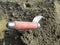 Trowel stuck in a dry sand-cement mixture, close-up