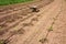 Truck in agricultural garden with drip irrigation