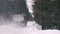 A truck carrying ore rides along a narrow winter forest road.