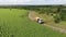 A truck full of sand is driving along the sunflower field, aerial shot