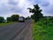 Truck on Indian Highway, A Road Full of Greenery.