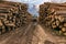 Truck loading wood in an outdoor pine wood warehouse