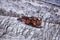 Truck old and rusty graffiti abandoned in the snow covered Mountains Lone Peak Wilderness Wasatch Rocky Mountains, Utah.