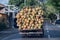 Truck overloaded with coconut close up detail in Bali