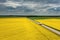 Truck on a road, aerial landscape of a road amongst fields of yellow colza