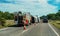 Truck Rollover On The Bruce Highway