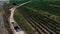 Truck among rows of vineyard before harvesting