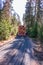 Truck with timber driving on a muddy dirt road in the forest