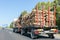 Truck with timber on the highway. Trailer with firewood