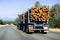 Truck transporting logs near Redding, California