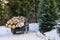 Truck transporting wood through forest