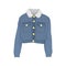 Trucker Denim Jacket Fashion Style Item Illustration