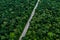 Trucks carrying goods on the highway. white truck driving on asphalt road through a green forest.