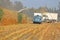 Trucks and Harvesting Corn in Field