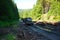 Trucks ride on a mountain forest road. Dirty road after the rain. Off-road