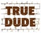 True Dude printed on stylized brick wall. Textured humorous inscription for your design. Vector