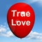 True Love Balloon Represents Lovers and Couples