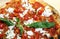 true Neapolitan pizza with mozzarella and san marzano tomatoes