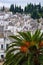 Trulli Rooftops in Alberobello