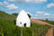 Trullo or round house in Flonheim, Rheinhessen, Rheinland Pfalz, Germany