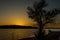 Truman Lake Sunset with Tree Siloutte