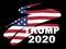 Trump 2020 Republican Choice For President Nomination - 2d Illustration