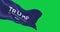 Trump 2024 presidential election campaign flag waving on green background