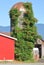 Trumpet Vine and Farm Silo