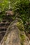 Trunk of a fallen tree with moss next to a staircase in the middle of the forest