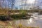 Trunk of a fallen tree on the river Geul surrounded by wild plants, long exposure photography