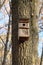 On the trunk of a large tree hangs a wooden birdhouse.